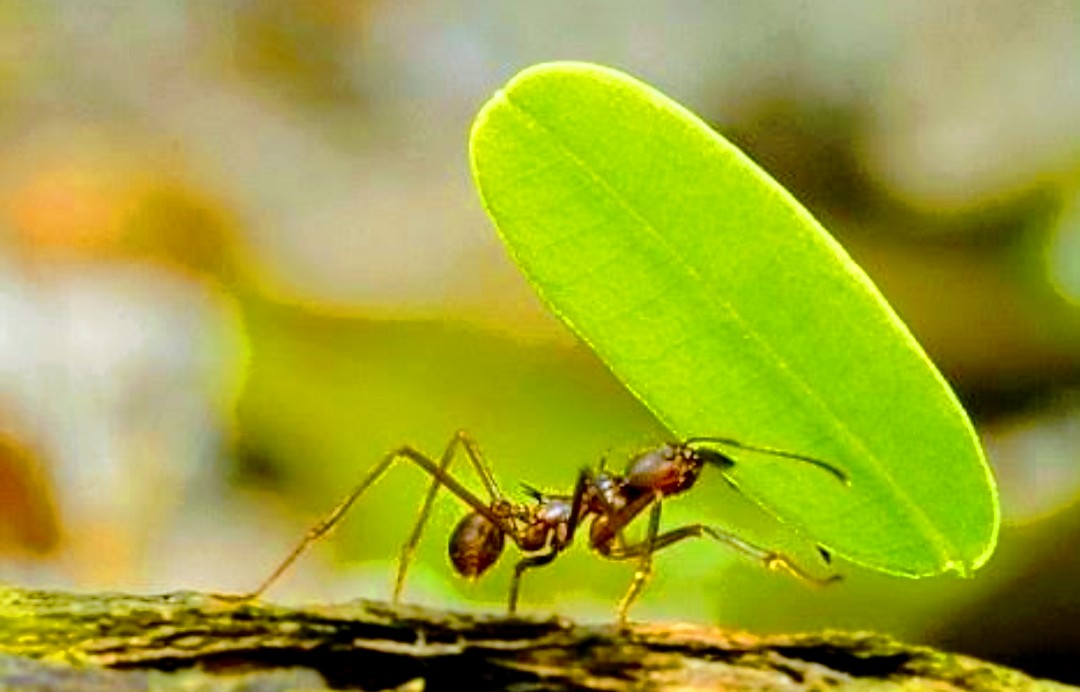 Screenshot_20200413-114539~2