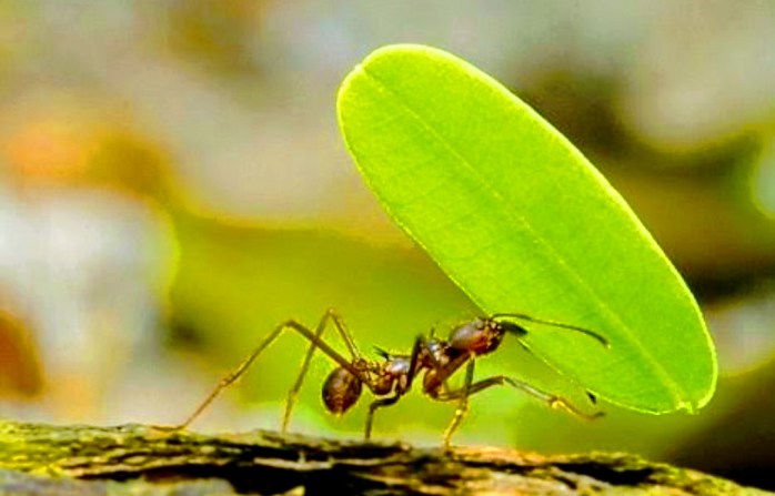 Screenshot_20200413-114539~2