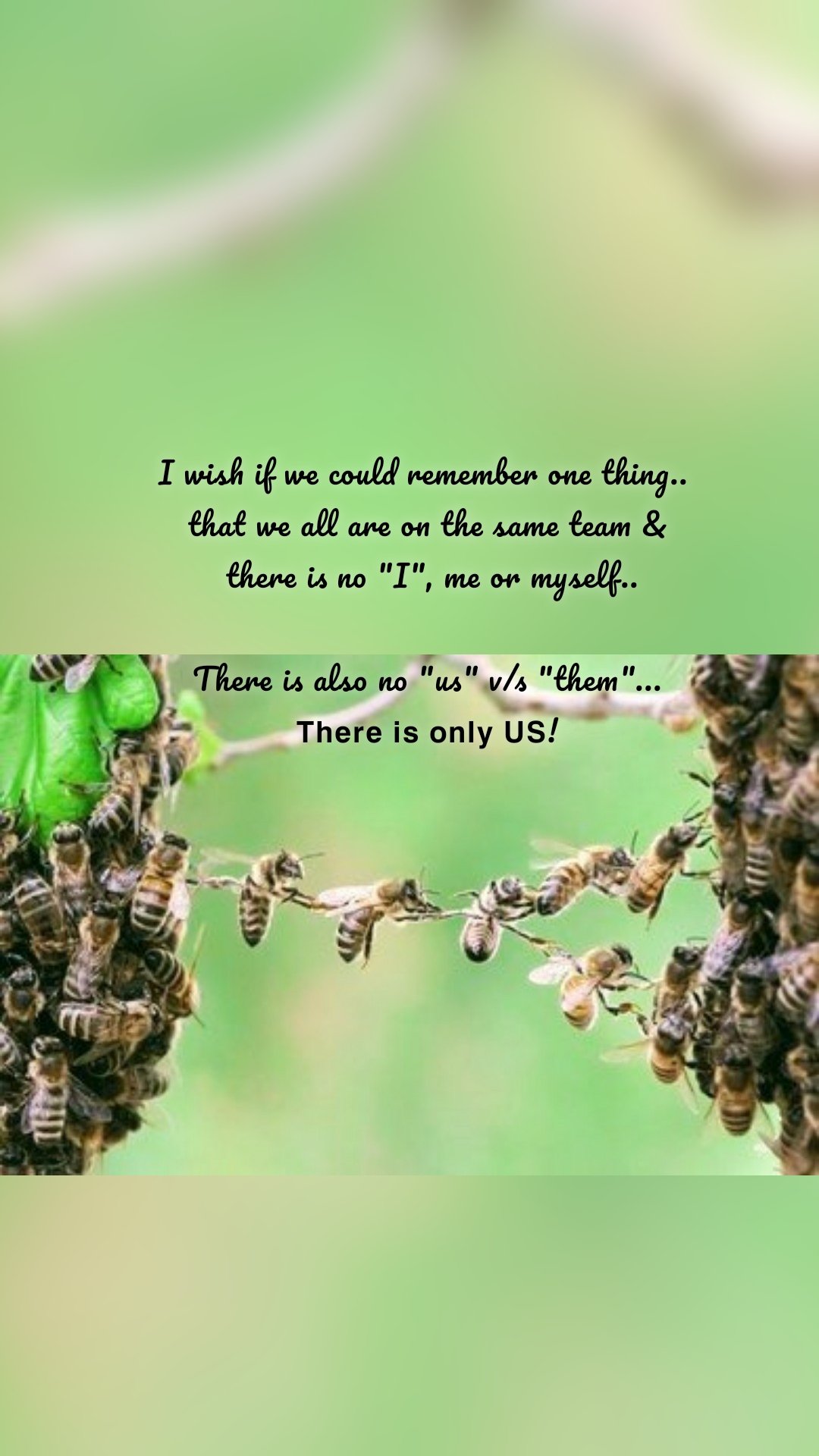 I wish if we could remember one thing.. 
that we all are on the same team &
 there is no "I", me or myself..

There is also no "us" v/s "them"...
𝗧𝗵𝗲𝗿𝗲 𝗶𝘀 𝗼𝗻𝗹𝘆 𝗨𝗦!